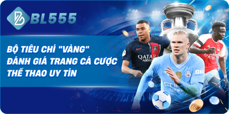 Bộ Tiêu Chí "Vàng" Đánh Giá Trang Cá Cược Thể Thao Uy Tín