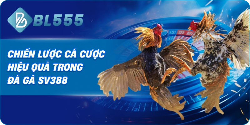 Chiến Lược Cá Cược Hiệu Quả Trong Đá Gà SV388